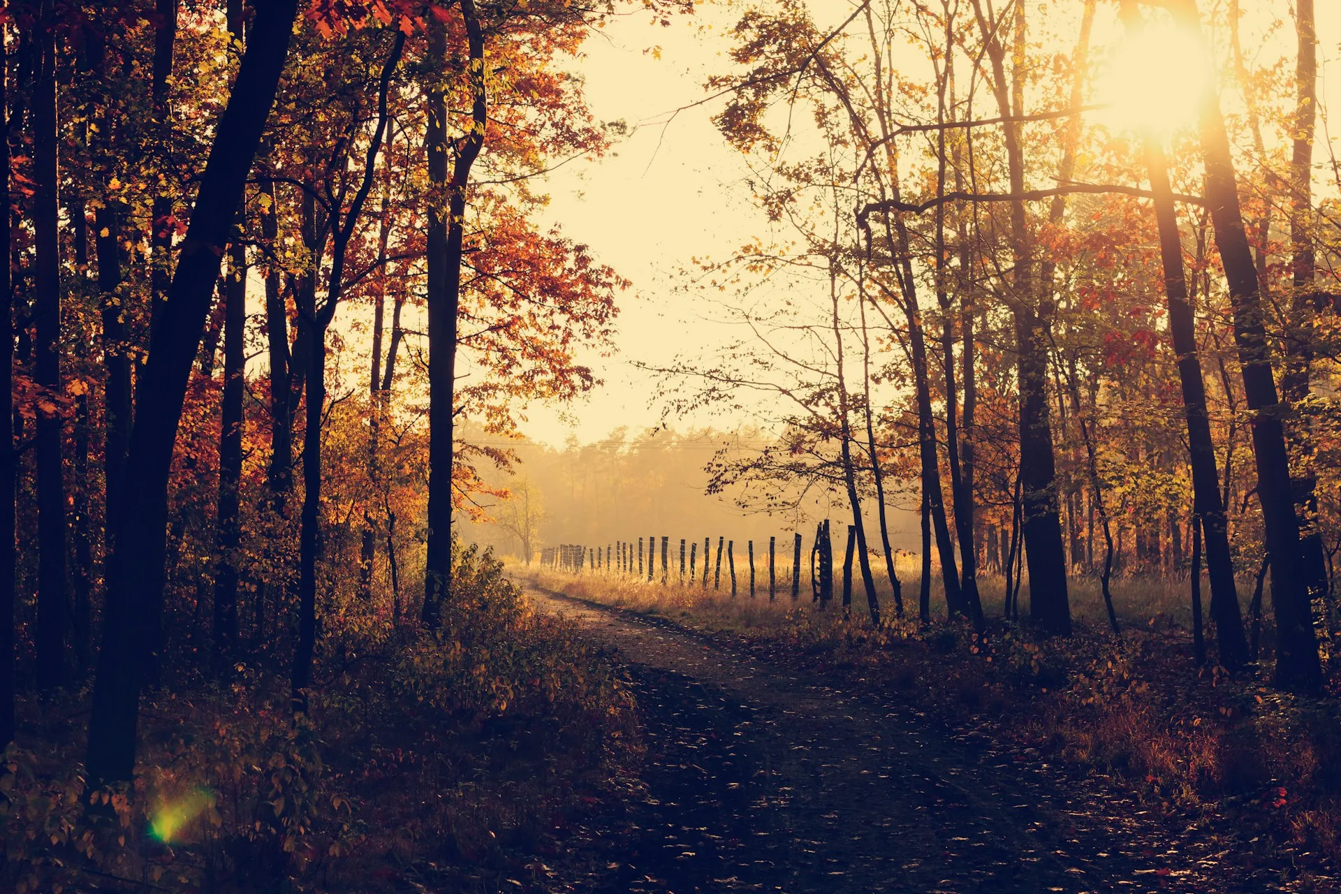 Dead Bedroom: Should I Open My Marriage?