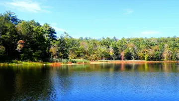 Will There Be Too Much Drama?