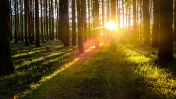 Is It Okay to Sleep With Your Friends?