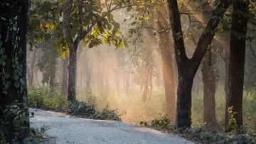 How to Start Swinging